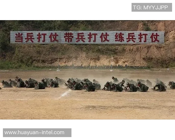 运动最新数据成都羽毛球队战术解析聚焦提升竞技水平与团队协作能力的策略探讨